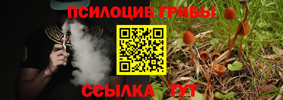 Галлюциногенные грибы Cubensis  Вход с VPN  закладки  Избербаш 
